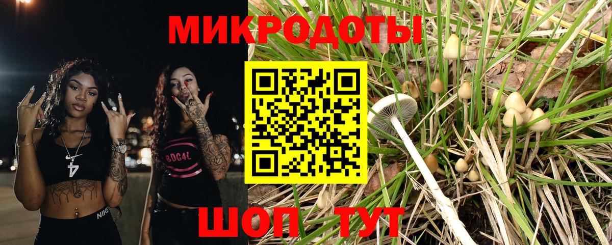 Псилоцибиновые грибы мухоморы  Вход с VPN  где продают наркотики  Дзержинск 